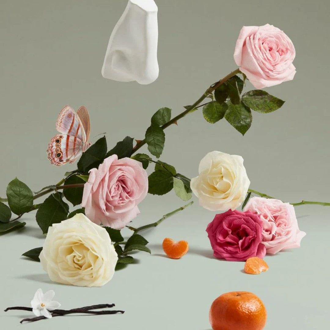 Penhaligons | Duchess Rose - 100ml - Free & Fast UAE Shipping