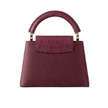 Louis Vuitton | Capucines East-west Mini Bag In Crinkled Grenat Red Leather With Gold-toned Hardware - Free & Fast UAE Shipping